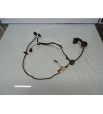 Chicote Porta Traseira Direita Ford Ecosport 2012