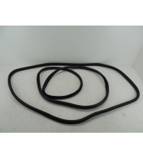 Par Borrachas Das Portas Dianteiras Citroen C4 Cactus 2020