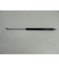 Amortecedor Tampa Traseira Range Rover Supercharged 2006