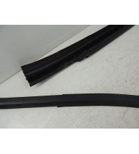 Borracha Canaleta Porta Traseira Esquerda Jeep Compass 2023 Preto