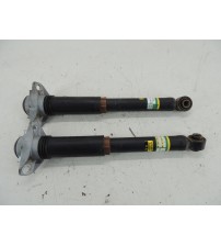 Par Amortecedor Traseiro Toyota Rav4 Hybrid 2019 Usado