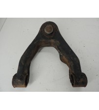 Bandeja Superior Esquerda Nissan Xterra 2.8 4x4 2006 Usado