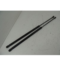 Par Amortecedor Tampa Traseira Gm Captiva Sport 2010