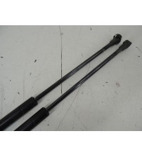 Par Amortecedor Tampa Traseira Gm Captiva Sport 2010