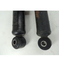 Par Amortecedor Traseiro Gm Captiva Sport 3.6 V6 2010 Usado