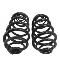 Par Molas Traseiras Kangoo Furgão Z. E. Maxi 44kw 2023 Usado