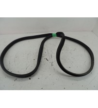 Borracha Porta Lateral Renault Kangoo Furgão Z. E. Maxi 2023