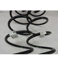 Par Molas Dianteiras Fiat Fiorino 1.4 2024 ( Usado )