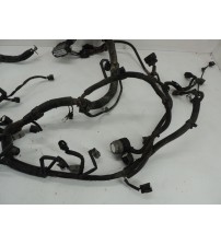 Chicote Motor Mitsubishi Outlander 3.0 V6 Gas. 4x4 Aut. 2008