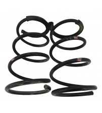 Par Molas Dianteiras Outlander 3.0 V6 4x4 Aut. 2008 Usado