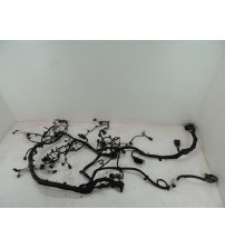 Chicote Motor Ford Maverick Fx4 2.0 Gasolina Aut. 2022