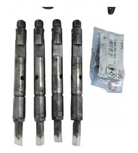 Bomba Injetora E Bico Motor Maxion Hsd 2.5 Testada/revisada