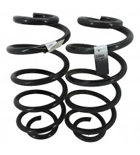 Par Molas Traseiras Jeep Wrangler 80h 2.0 4x4 2021 Usado