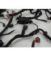 Chicote Cofre Motor Gwm Ora 03 Gt Bev63 2026