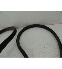 Borracha Porta Traseira Direita Gwm Ora 03 Gt 2026