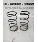 Par Molas Dianteiras Pajero Tr4 2012 4x2 Gasolina Usad0