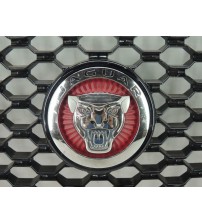 Grade Dianteira Com Emblema Jaguar F-pace 2020 Original