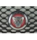 Grade Dianteira Com Emblema Jaguar F-pace 2020 Original