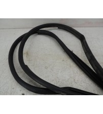 Par Borracha Porta Traseira Toyota Hilux 2024