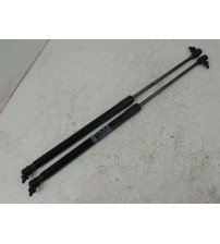 Par Amortecedor Tampa Traseira Tiggo 5x Sport 2024 Usad0