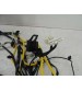 Chicote Fundo Assoalho Chery Tiggo 5x Sport 1.5 2024